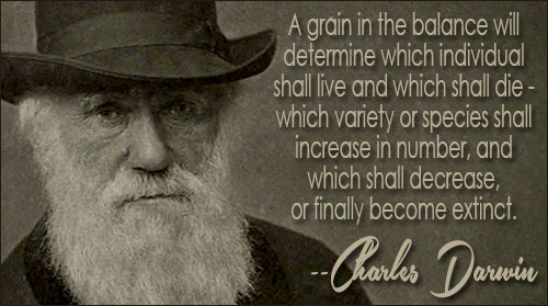 Charles Darwin quote