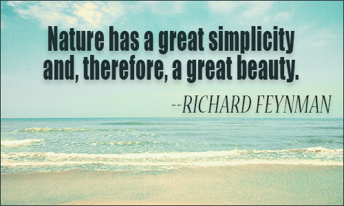 Simplicity quote